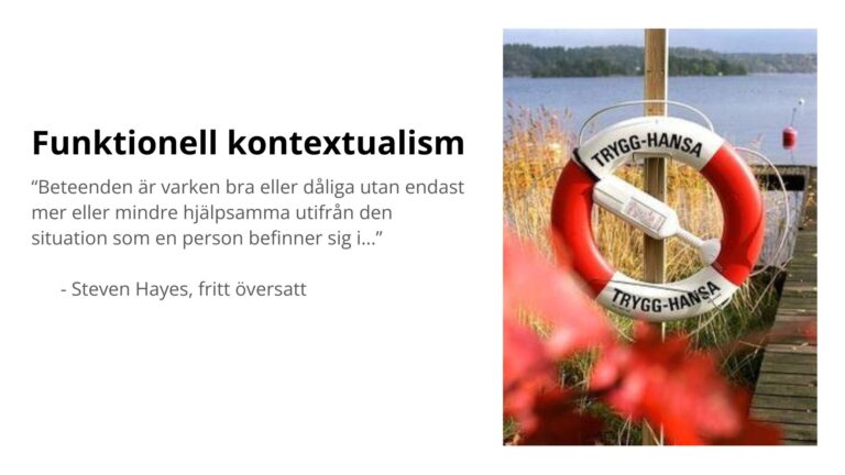 Funktionell kontextualism