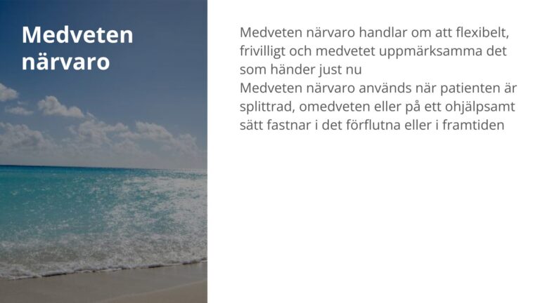 Medveten närvaro